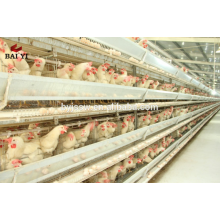 Fully Automatic Battery Chicken Layer Cage Sale For Sri Lanka